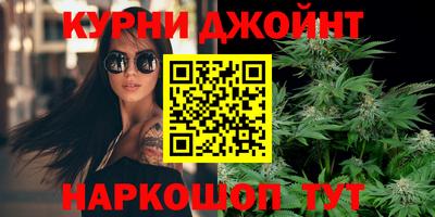 apvp Канаш