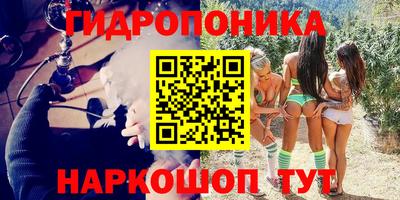apvp Канаш
