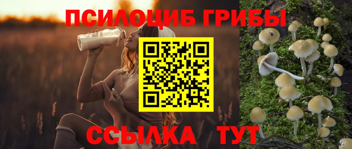 Псилоцибиновые грибы GOLDEN TEACHER  Вход с VPN  Галлюциногенные грибы ЛСД  Курчатов 