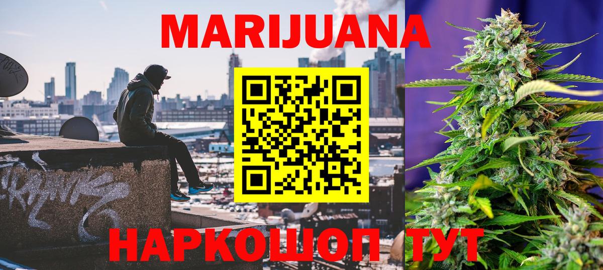 Курчатов  Каннабис конопля  Вход с VPN  Бошки марихуана Ganja  Конопля план 
